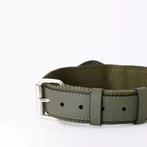 Haiwan AirTag Collar