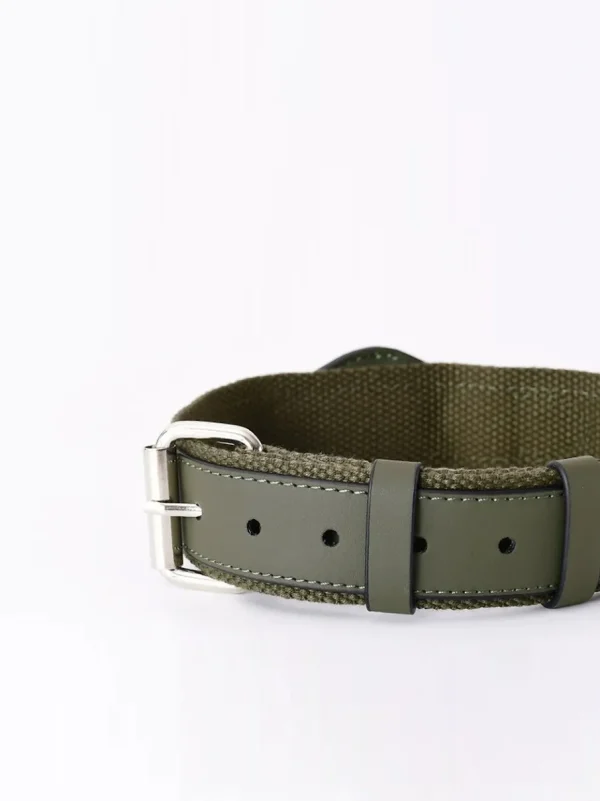 Haiwan AirTag Collar