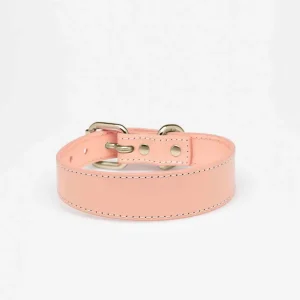 Haiwan Apricot Thin Leather Collar