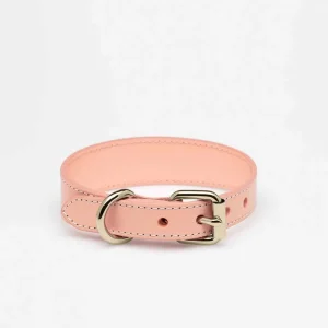 Haiwan Apricot Thin Leather Collar