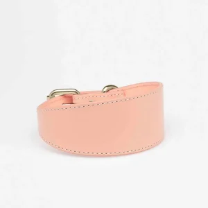 Haiwan Apricot Wide Leather Collar