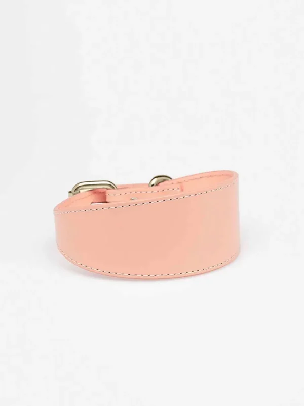 Haiwan Apricot Wide Leather Collar