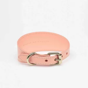 Haiwan Apricot Wide Leather Collar