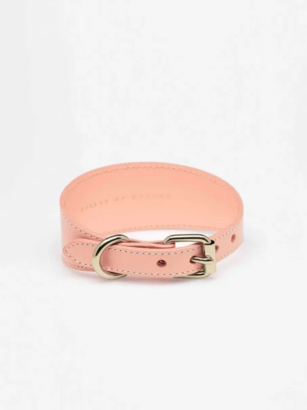 Haiwan Apricot Wide Leather Collar