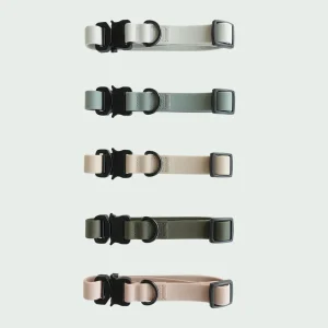 Haiwan AVA Quick-release Metal Buckle Collar