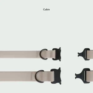 Haiwan AVA Quick-release Metal Buckle Collar