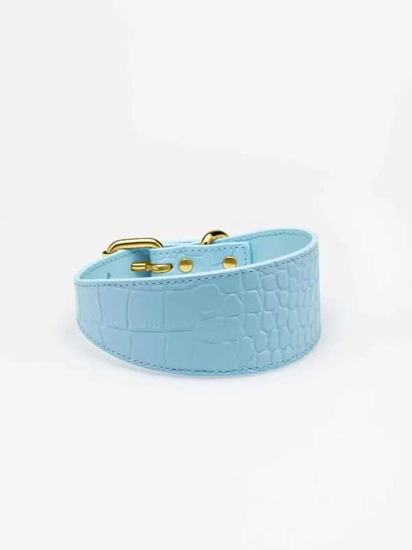 Haiwan Baby Blue Croco Wide Leather Collar