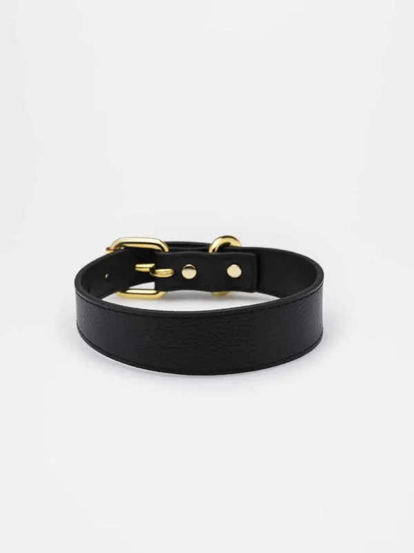 Haiwan Black Thin Leather Collar