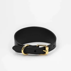 Haiwan Black Wide Leather Collar