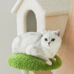 Haiwan Bonsai Cat Tree