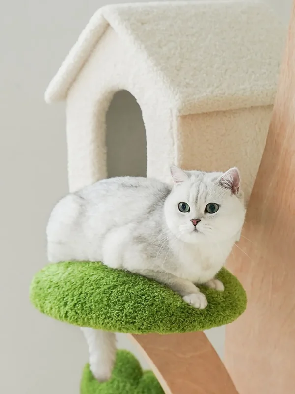 Haiwan Bonsai Cat Tree