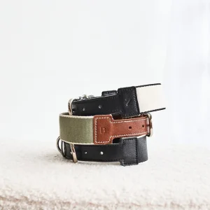 Haiwan BREIT Collar