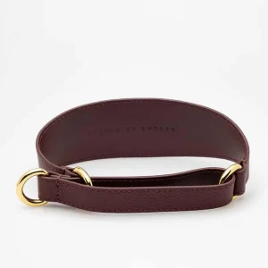 Haiwan Burgundy Leather Martingale