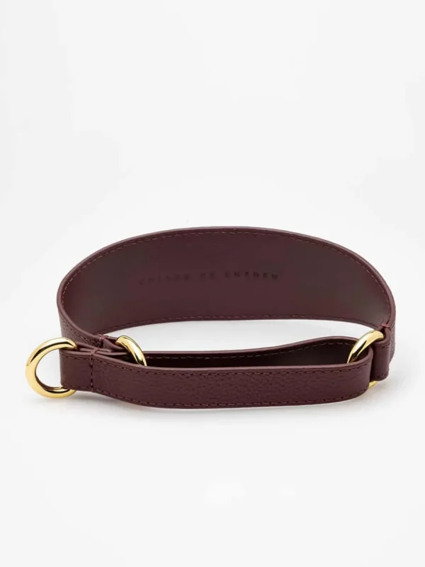 Haiwan Burgundy Leather Martingale