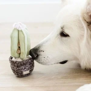 Haiwan CACTUS Snuffle + Squeaky