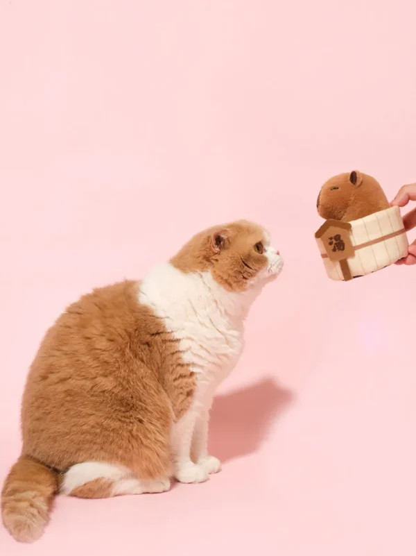 Haiwan Capybara Snuffle Catnip Toy