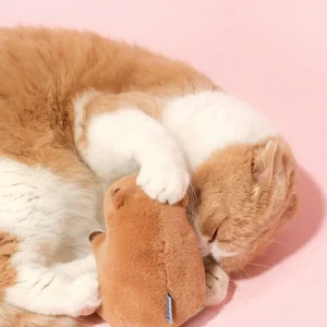 Haiwan Capybara Snuffle Catnip Toy