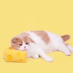 Haiwan Cheese Catnip Toy