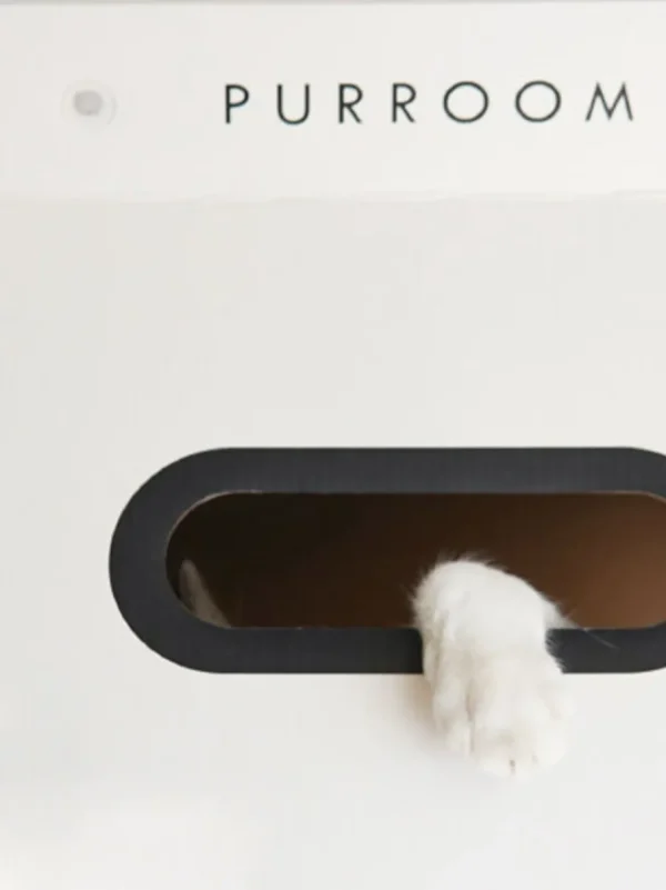 Haiwan Chicky Milk Carton Nest & Scratcher