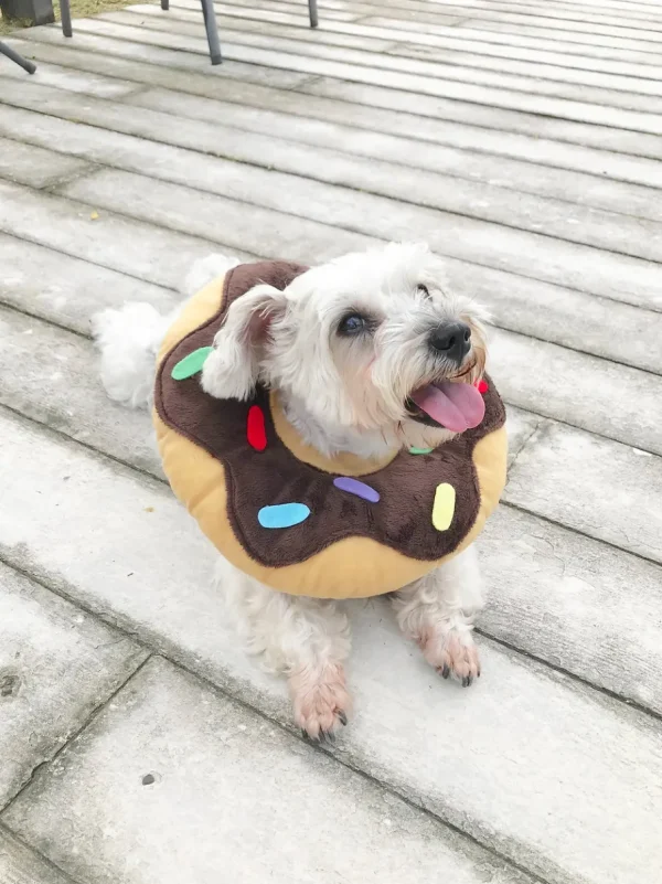 Haiwan Chocolate Donut Cone