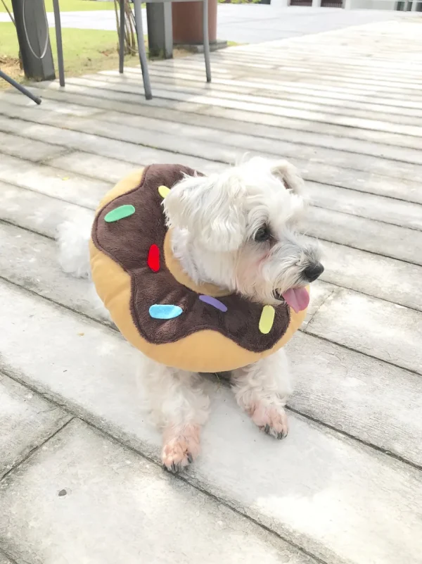 Haiwan Chocolate Donut Cone