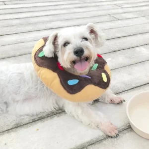 Haiwan Chocolate Donut Cone