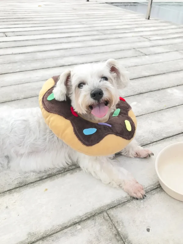 Haiwan Chocolate Donut Cone