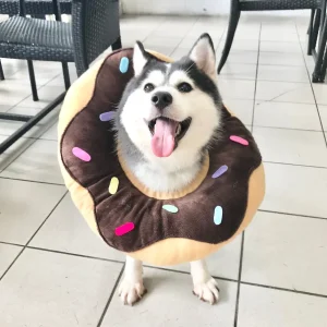 Haiwan Chocolate Donut Cone