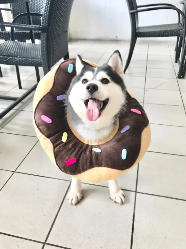 Haiwan Chocolate Donut Cone