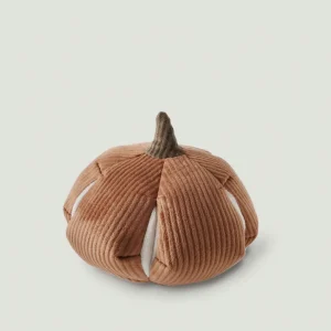 Haiwan CINDERELLA Snuffle Pumpkin