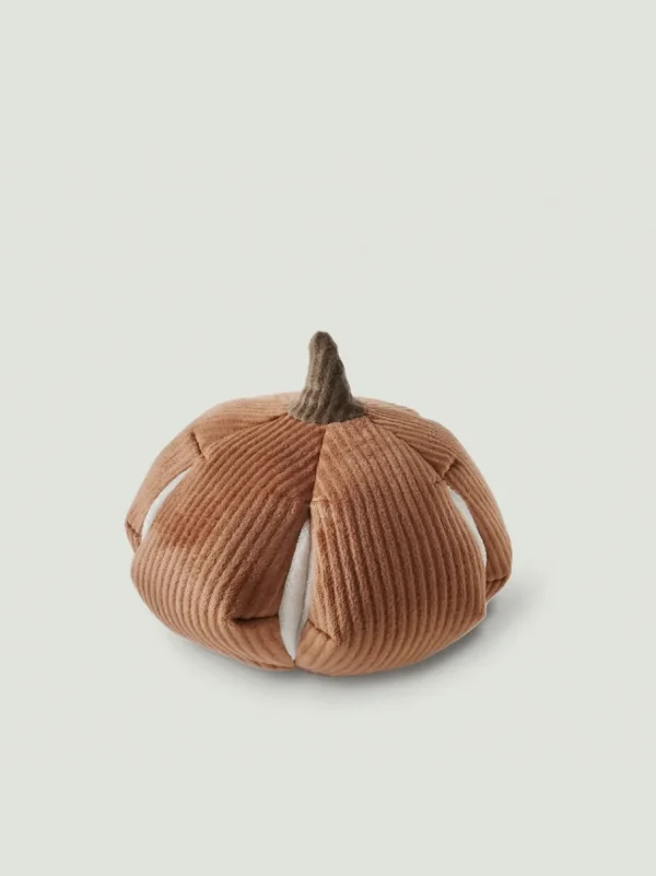 Haiwan CINDERELLA Snuffle Pumpkin