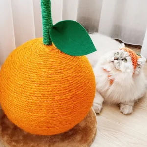 Haiwan Citrus Scratching Ball