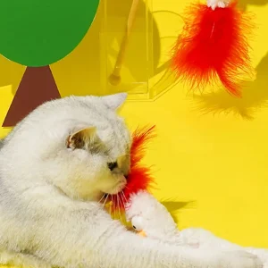 Haiwan Crinkle Chicken Cat Teaser with Catnip