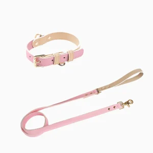 Haiwan CURIO Collar & Leash Set (Pink)