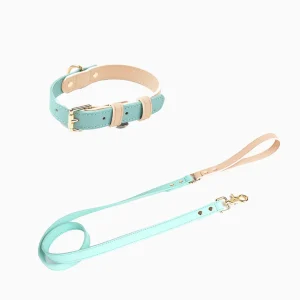 Haiwan CURIO Collar & Leash Set (Mint)