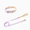 Haiwan CURIO Collar & Leash Set (Lilac)