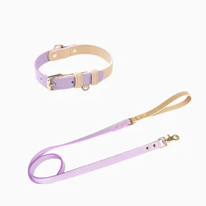 Haiwan CURIO Collar & Leash Set (Lilac)