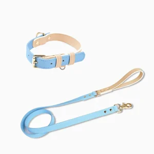 Haiwan CURIO Collar & Leash Set (Blue)