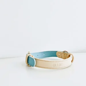 Haiwan CURIO Collar & Leash Set (Mint)