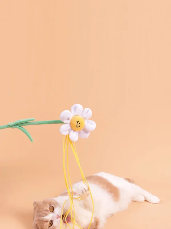 Haiwan Daisy Cat Teaser with Catnip