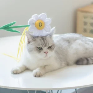 Haiwan Daisy Cat Teaser with Catnip