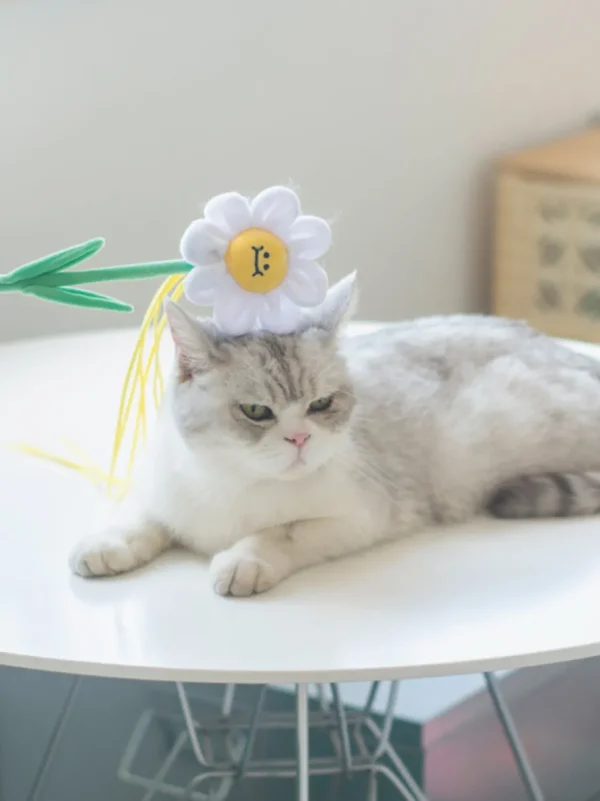 Haiwan Daisy Cat Teaser with Catnip