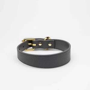 Haiwan Dark Grey Thin Leather Collar