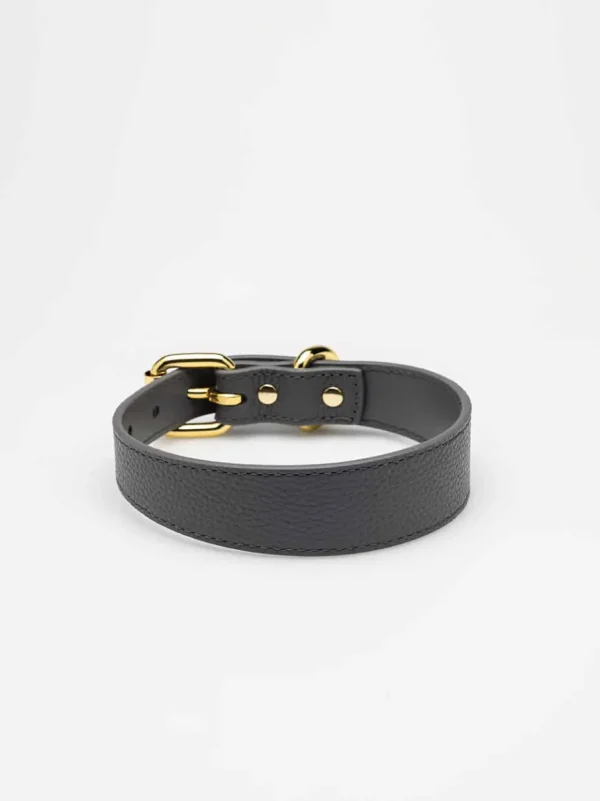 Haiwan Dark Grey Thin Leather Collar