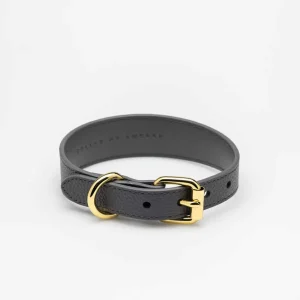 Haiwan Dark Grey Thin Leather Collar