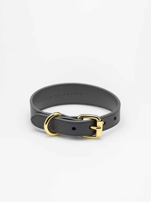 Haiwan Dark Grey Thin Leather Collar