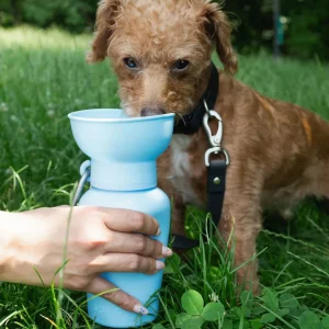 Haiwan Flip Dog Travel Bottle (Sky Blue)