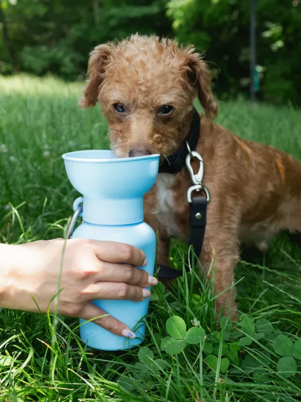 Haiwan Flip Dog Travel Bottle (Sky Blue)