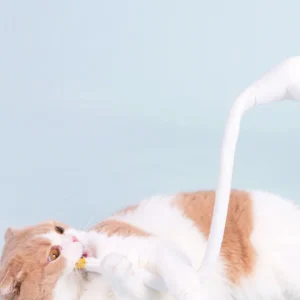 Haiwan Goose Cat Teaser with Catnip