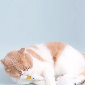 Haiwan Goose Catnip Toy